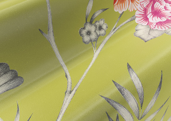 Borneo, Kiwi - Roman Blind - Image 4